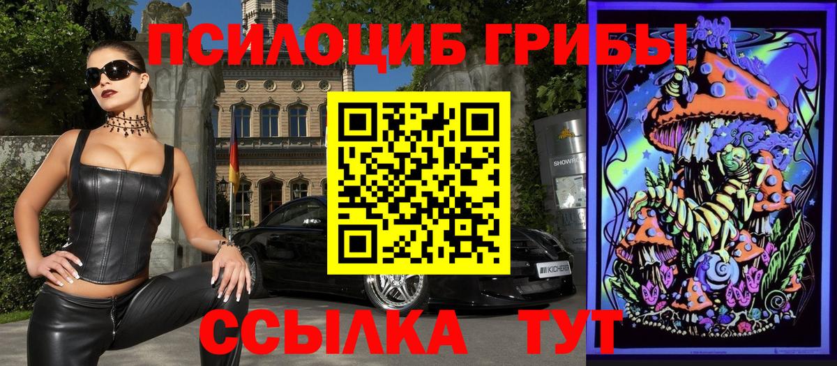 Псилоцибиновые грибы Psilocybe Артёмовский