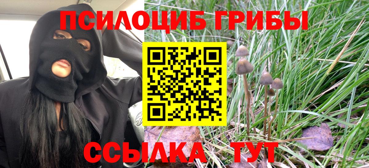 Псилоцибиновые грибы MAGIC MUSHROOMS  Вход с VPN  где найти   Артёмовский 