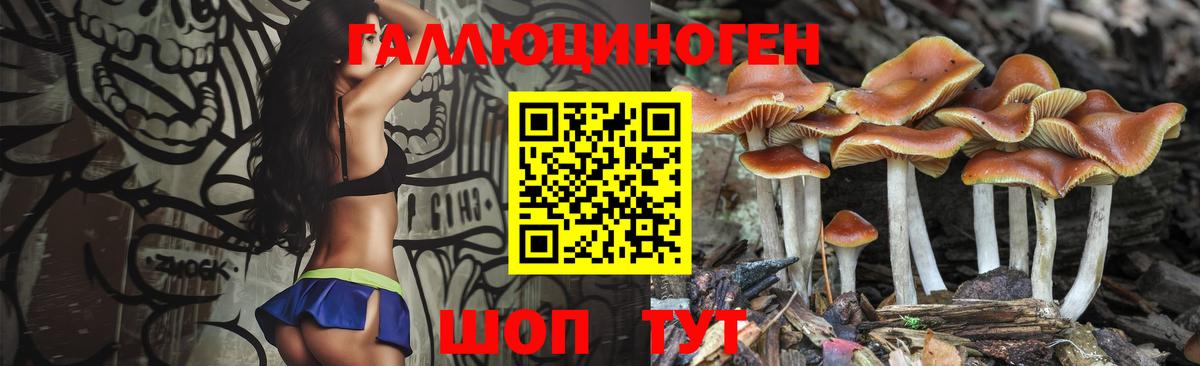 Галлюциногенные грибы MAGIC MUSHROOMS Артёмовский